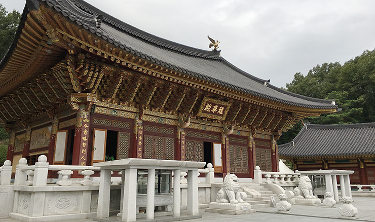 back to seoul