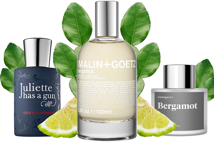 bergamot