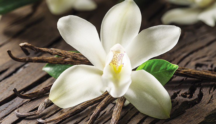 Vanilla